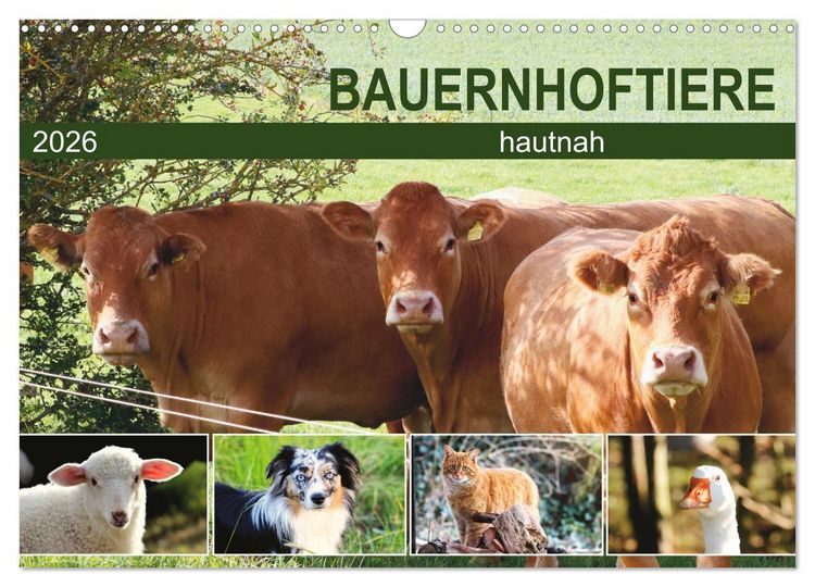 Produktbild: Bauernhoftiere hautnah (Wandkalender 2026 DIN A3 quer), CALVENDO Monatskalender