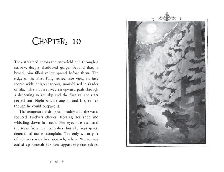 Fireborn 1: Twelve and the Frozen Forest