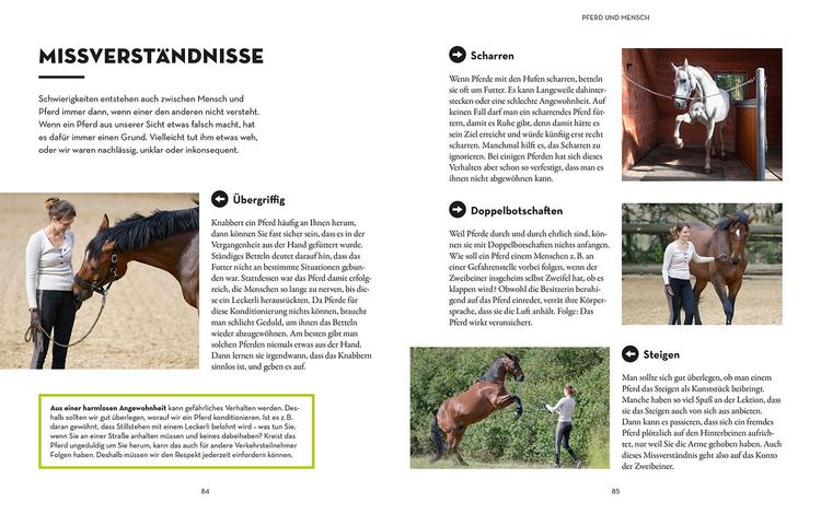 Produktbild: Was denkt mein Pferd?