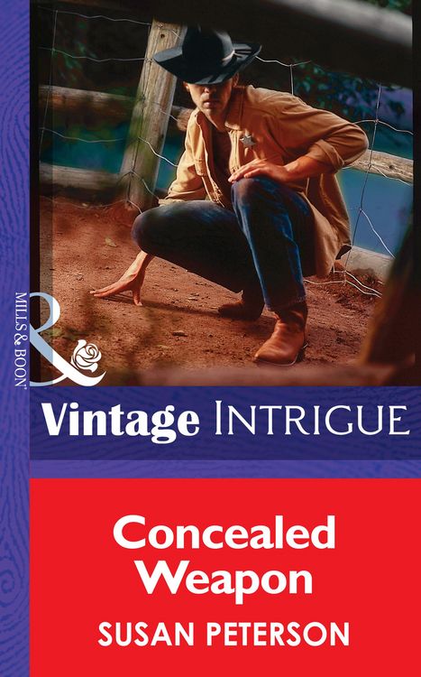 Produktbild: Concealed Weapon