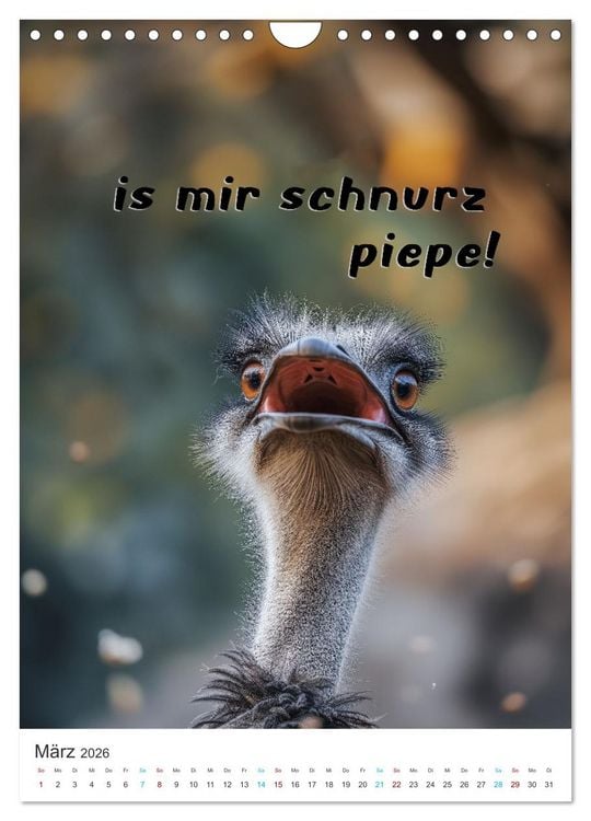 Produktbild: Lustige Tiere (Wandkalender 2026 DIN A4 hoch), CALVENDO Monatskalender