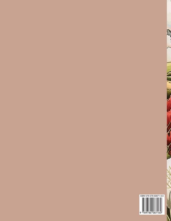 Produktbild: Country Farm Coloring Book