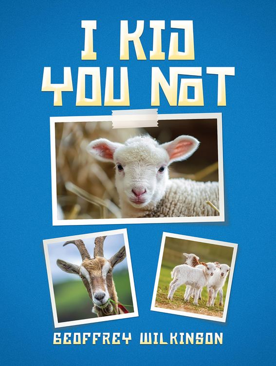 Produktbild: I Kid You Not