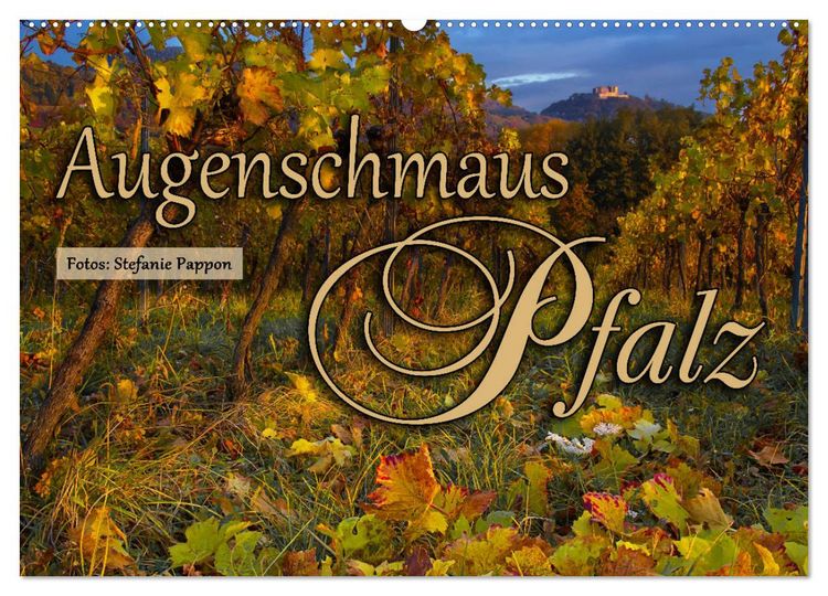 Produktbild: Augenschmaus Pfalz (Wandkalender 2026 DIN A2 quer), CALVENDO Monatskalender