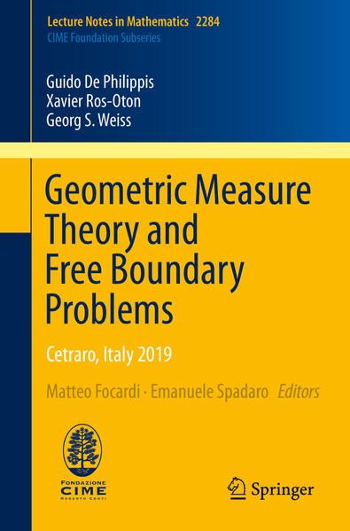 Produktbild: Geometric Measure Theory and Free Boundary Problems