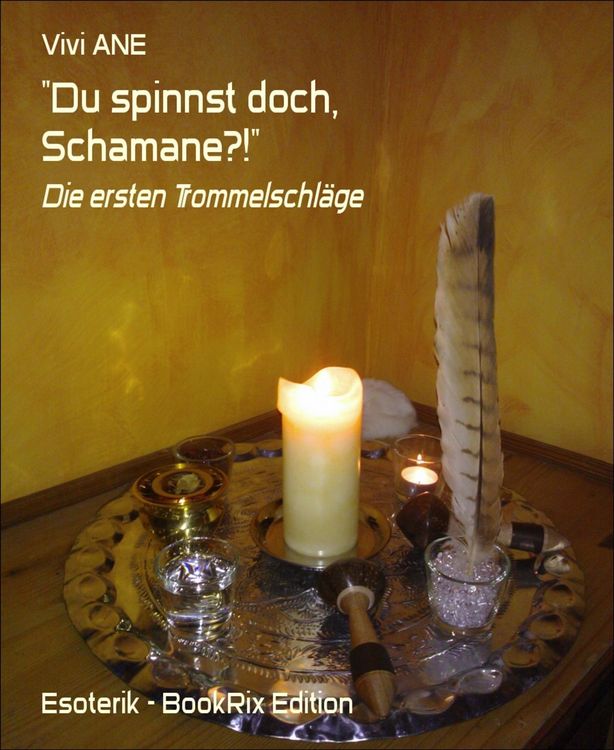 Produktbild: 'Du spinnst doch, Schamane?!'