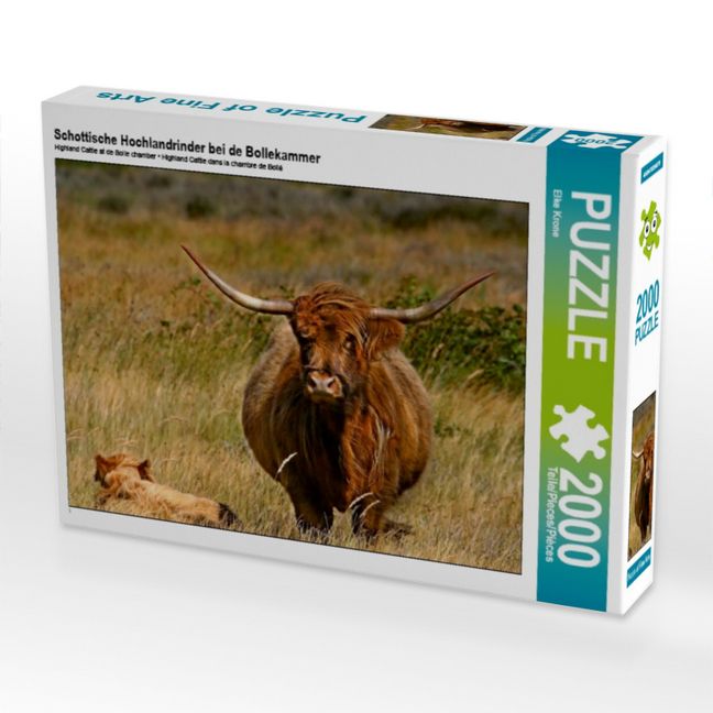 Produktbild: Schottische Hochlandrinder bei de Bollekammer (Puzzle)