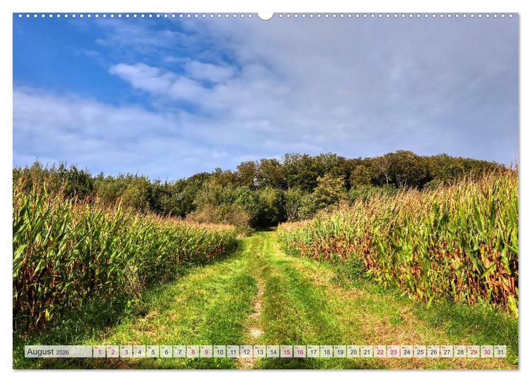 Produktbild: Idyllische Wanderwege im Bergischen Land (hochwertiger Premium Wandkalender 2026 DIN A2 quer), Kunstdruck in Hochglanz