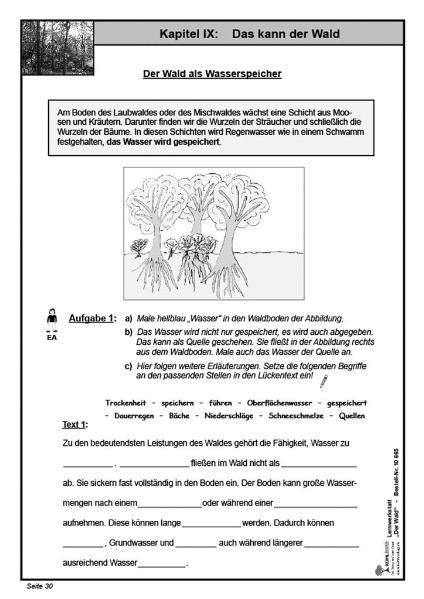 Produktbild: Lernwerkstatt Wald