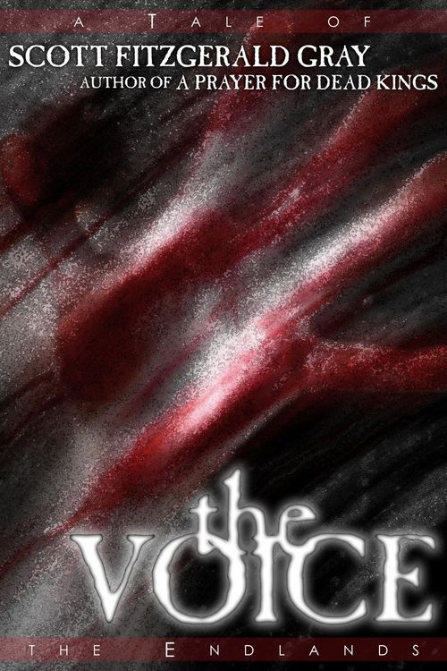 Produktbild: The Voice (Tales of the Endlands, #9)