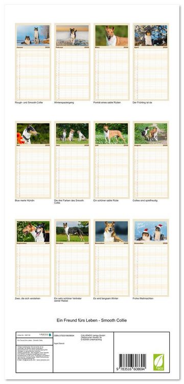 Produktbild: Familienplaner 2026 - Ein Freund f&uuml;rs Leben - Smooth Collie mit 5 Spalten (Wandkalender, 21 x 45 cm) CALVENDO