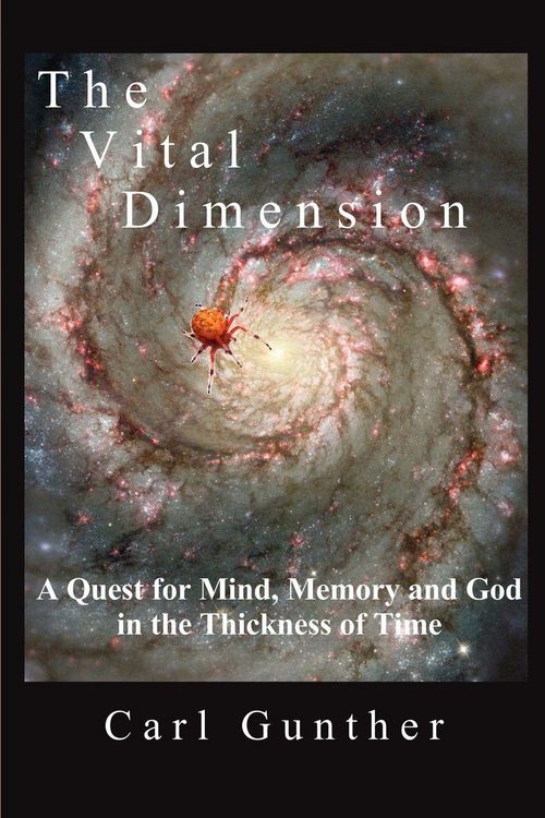 Produktbild: The Vital Dimension