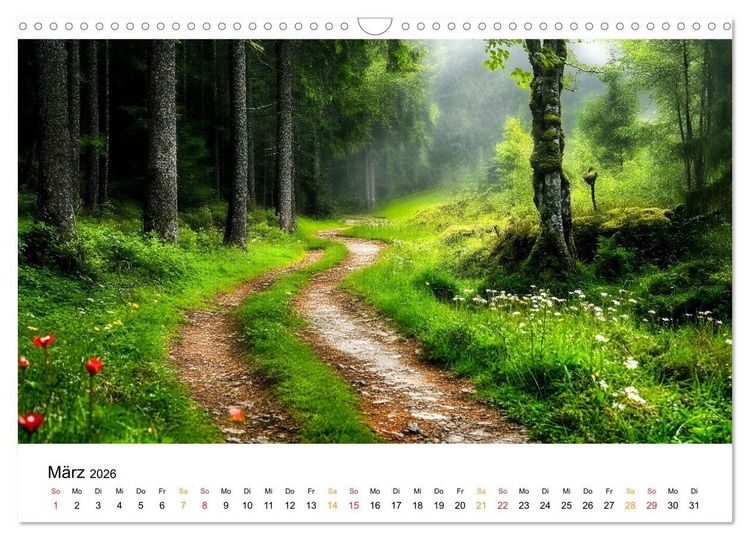 Produktbild: Mystik der W&auml;lder (Wandkalender 2026 DIN A3 quer), CALVENDO Monatskalender