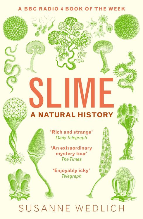 Produktbild: Slime
