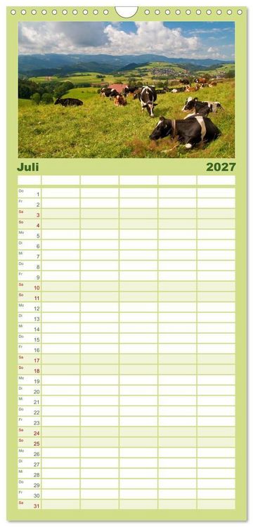 Produktbild: Familienplaner 2027 - Schwarzwald 2027 mit 5 Spalten (Wandkalender, 21 x 45 cm) CALVENDO