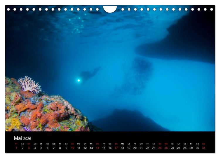 Produktbild: Abgetaucht - an den K&uuml;sten vor Cura&ccedil;ao (Wandkalender 2026 DIN A4 quer), CALVENDO Monatskalender