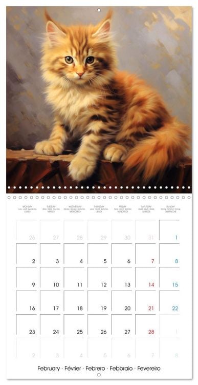 Produktbild: Illustrations Chatons (Calendrier mural carr&eacute; 2026 30x30 cm) Calendrier double avec une page pour vos prises de notes