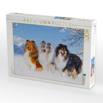 Produktbild: CALVENDO Puzzle Drei Collie-Prachtr&uuml;den | 1000 Teile Lege-Gr&ouml;&szlig;e 64x48cm Foto-Puzzle f&uuml;r gl&uuml;ckliche Stunden
