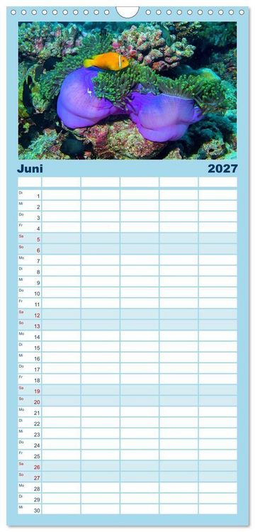 Produktbild: Familienplaner 2027 - Abenteuer Riff - bunte Unterwasserwelt mit 5 Spalten (Wandkalender, 21 x 45 cm) CALVENDO