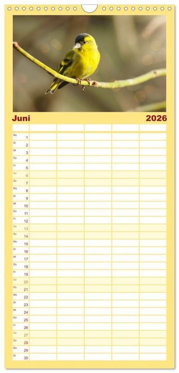 Produktbild: Familienplaner 2026 - Erlenzeisige mit 5 Spalten (Wandkalender, 21 x 45 cm) CALVENDO