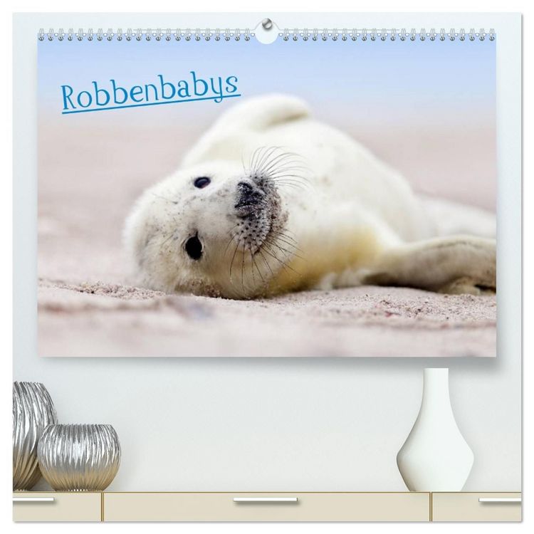 Produktbild: Robbenbabys (hochwertiger Premium Wandkalender 2027 DIN A2 quer), Kunstdruck in Hochglanz
