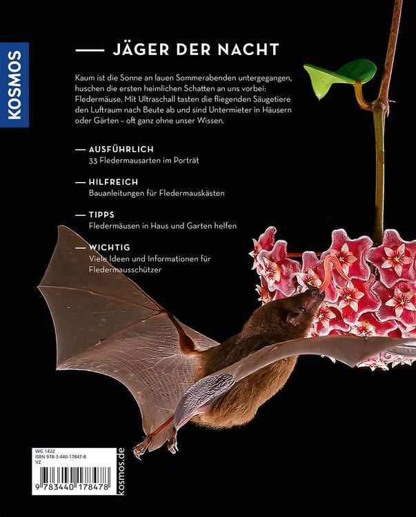 Produktbild: Flederm&auml;use