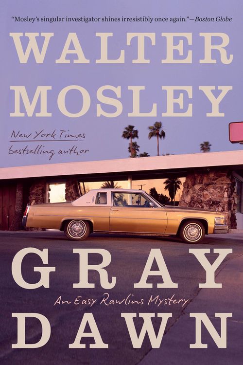 Produktbild: Gray Dawn