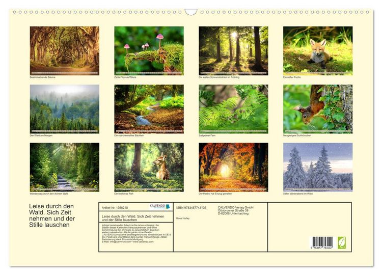 Produktbild: Leise durch den Wald. Sich Zeit nehmen und der Stille lauschen (Wandkalender 2026 DIN A2 quer), CALVENDO Monatskalender
