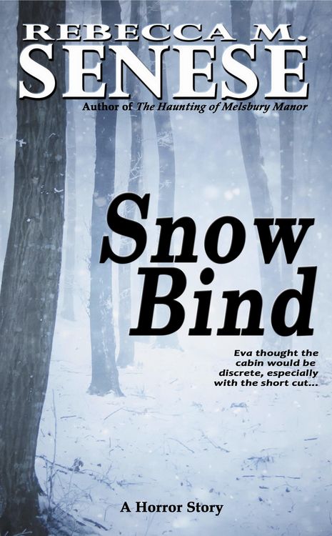 Produktbild: Snow Bind: A Horror Story