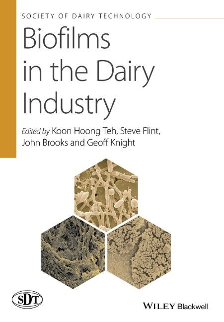 Produktbild: Biofilms in the Dairy Industry