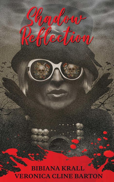 Produktbild: Shadow Reflection (The Haunted, #4)