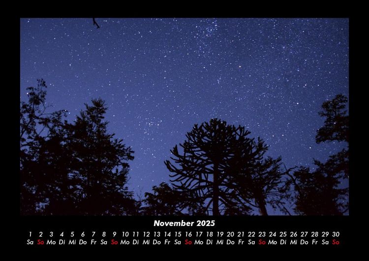 Produktbild: B&auml;ume 2025 Fotokalender DIN A3