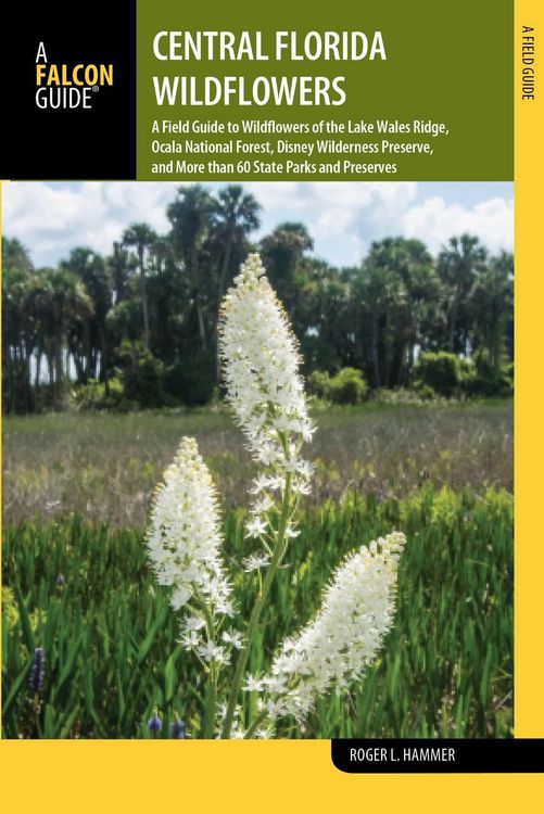 Produktbild: Central Florida Wildflowers