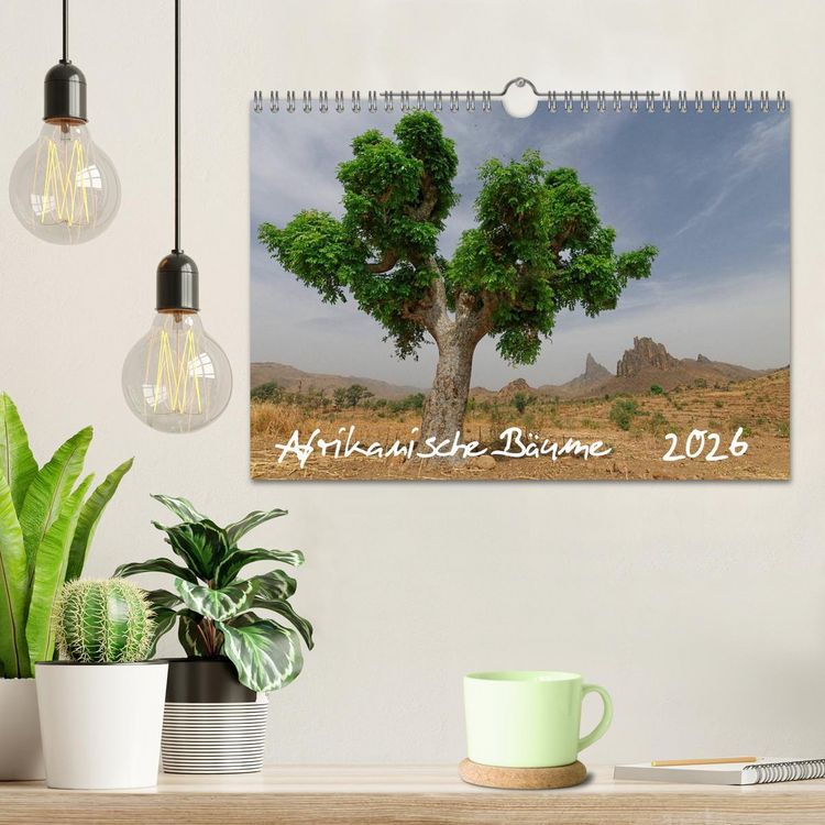 Produktbild: Afrikanische B&auml;ume (Wandkalender 2026 DIN A4 quer), CALVENDO Monatskalender