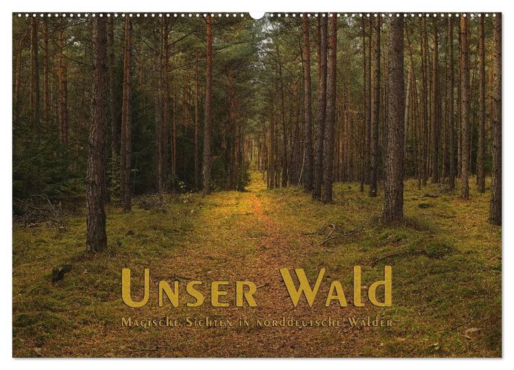 Produktbild: Unser Wald - Magische Sichten in norddeutsche W&auml;lder (Wandkalender 2026 DIN A2 quer), CALVENDO Monatskalender