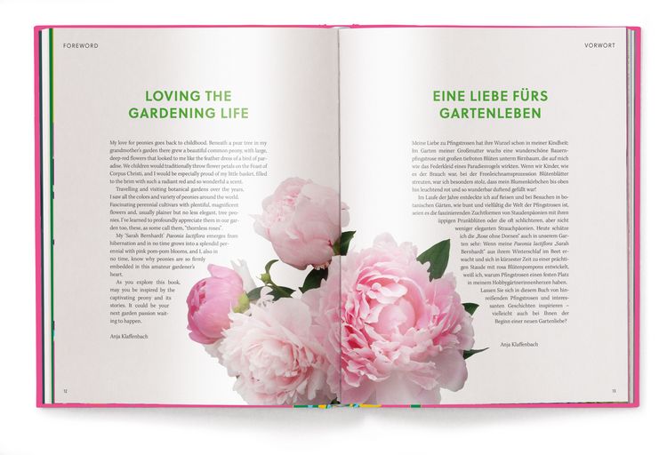 Produktbild: Floramour: Pfingstrosen