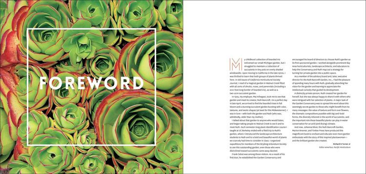 Produktbild: The Bold Dry Garden