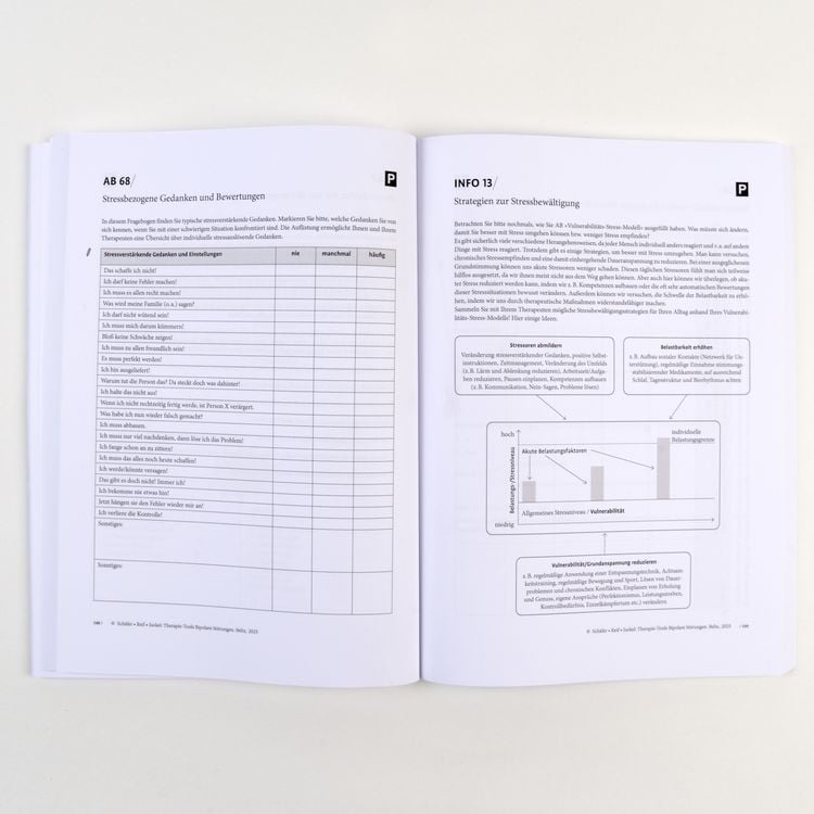 Produktbild: Therapie-Tools Bipolare St&ouml;rungen
