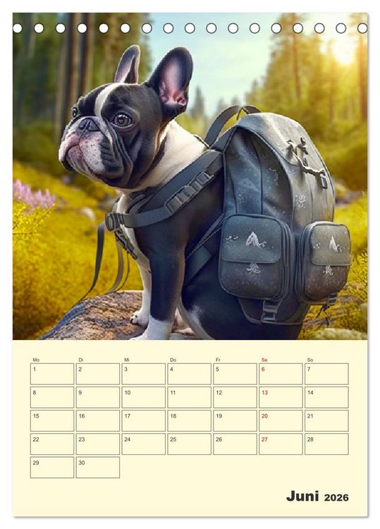 Produktbild: Lustige Flederm&auml;use. Franz&ouml;sische Bulldoggen bei der Freizeitgestaltung (Tischkalender 2026 DIN A5 hoch), CALVENDO Monatskalender