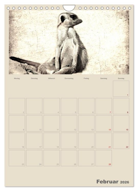 Produktbild: Lustige Erdm&auml;nnchen (Wandkalender 2026 DIN A4 hoch), CALVENDO Monatskalender