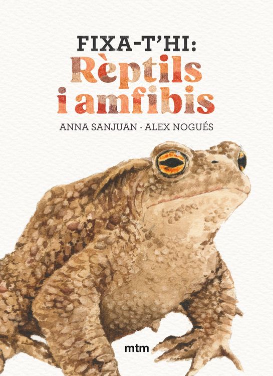 Produktbild: Fixa-t'hi: r&egrave;ptils i amfibis