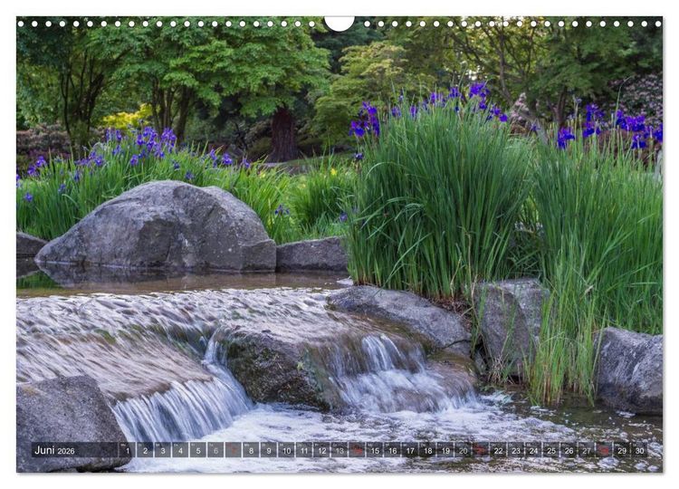 Produktbild: Feng Shui Farben - Element Wasser (Wandkalender 2026 DIN A3 quer), CALVENDO Monatskalender