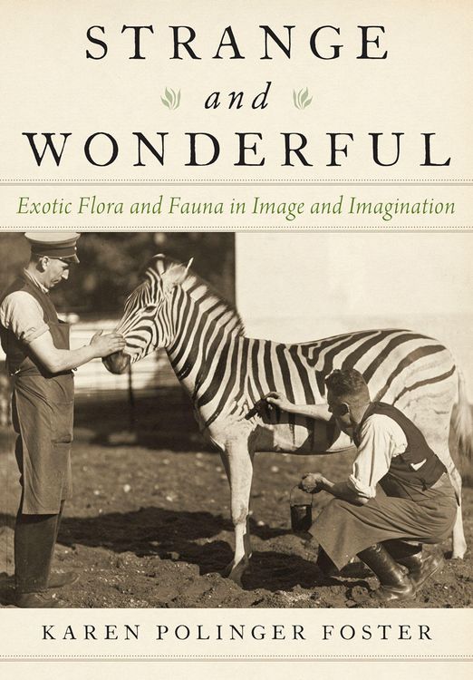 Produktbild: Strange and Wonderful