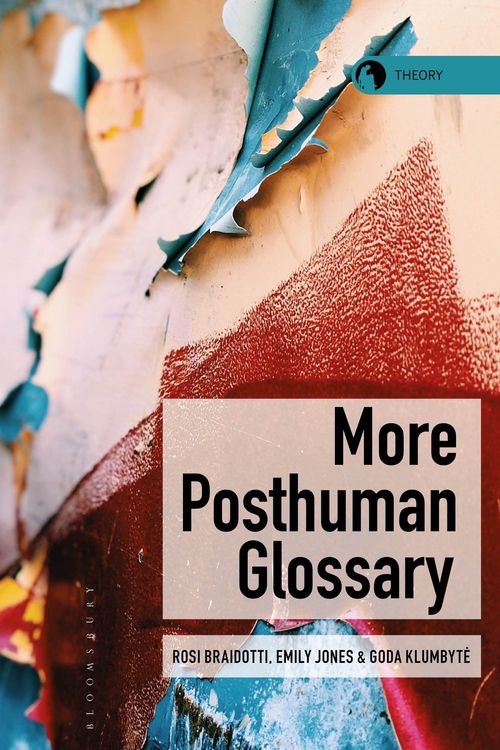 Produktbild: More Posthuman Glossary