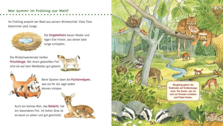 Produktbild: Unkaputtbar: Erstes Wissen: Im Wald