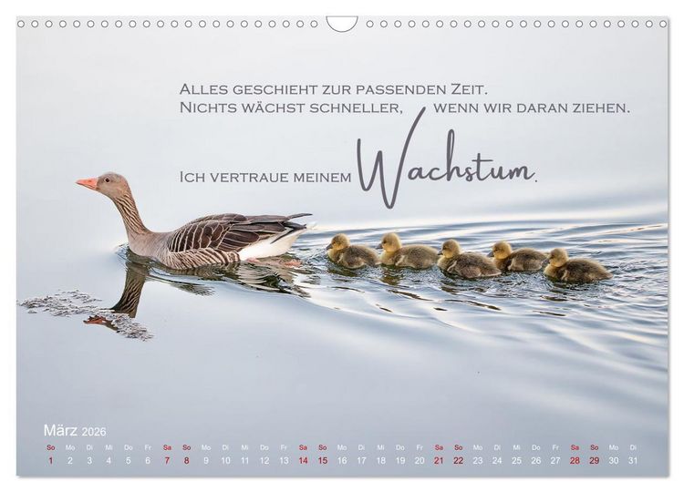 Produktbild: Vertraue! (Wandkalender 2026 DIN A3 quer), CALVENDO Monatskalender