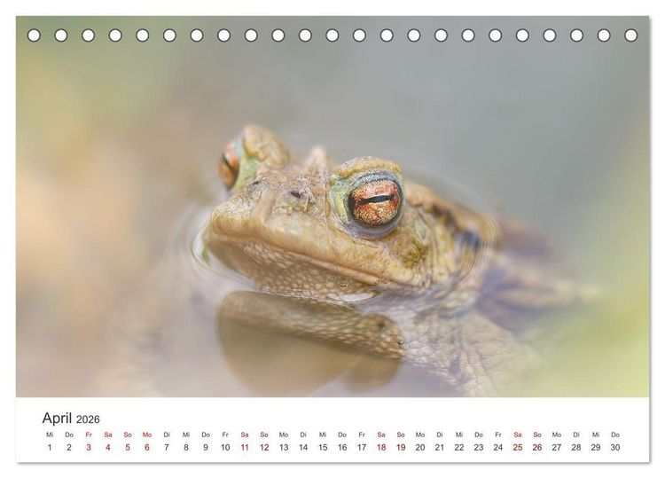Produktbild: Der etwas andere Blickwinkel (Tischkalender 2026 DIN A5 quer), CALVENDO Monatskalender