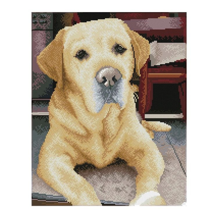 Produktbild: DIAMOND DOTZ - Diamond Painting Labrador