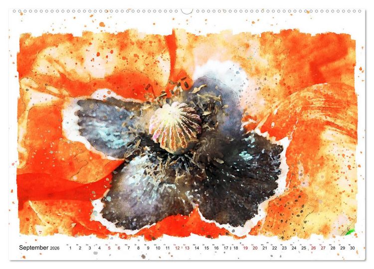 Produktbild: Mohnbl&uuml;ten in Aquarell (hochwertiger Premium Wandkalender 2026 DIN A2 quer), Kunstdruck in Hochglanz