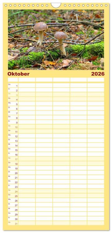 Produktbild: Familienplaner 2026 - Heimische Pilze mit 5 Spalten (Wandkalender, 21 x 45 cm) CALVENDO